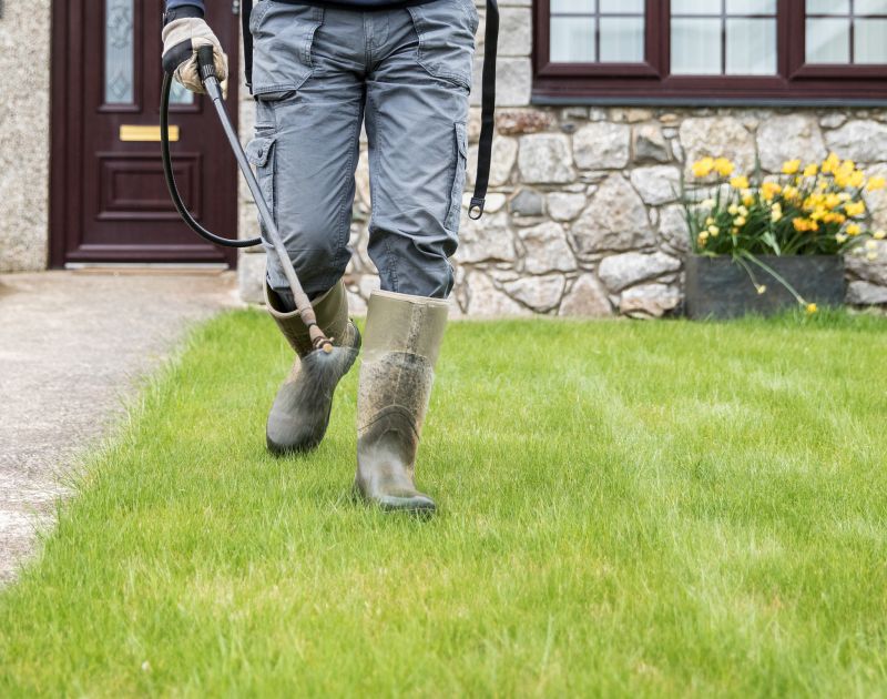 Stone Hardscape Service